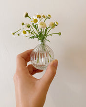 Load image into Gallery viewer, Teeny Bud Vase
