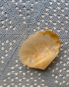 Shell Soap Dish