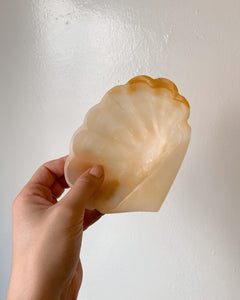 Shell Soap Dish