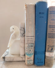 Load image into Gallery viewer, Two Wise Birds Bookends
